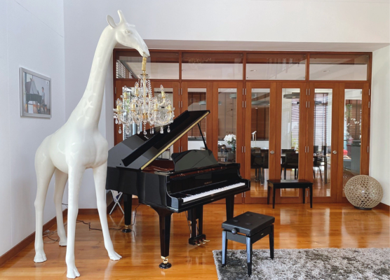 Làm sao để chọn được đàn Piano cơ tốt nhất?