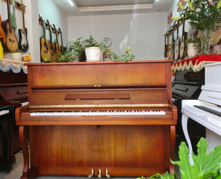 Piano dr-5 Royale