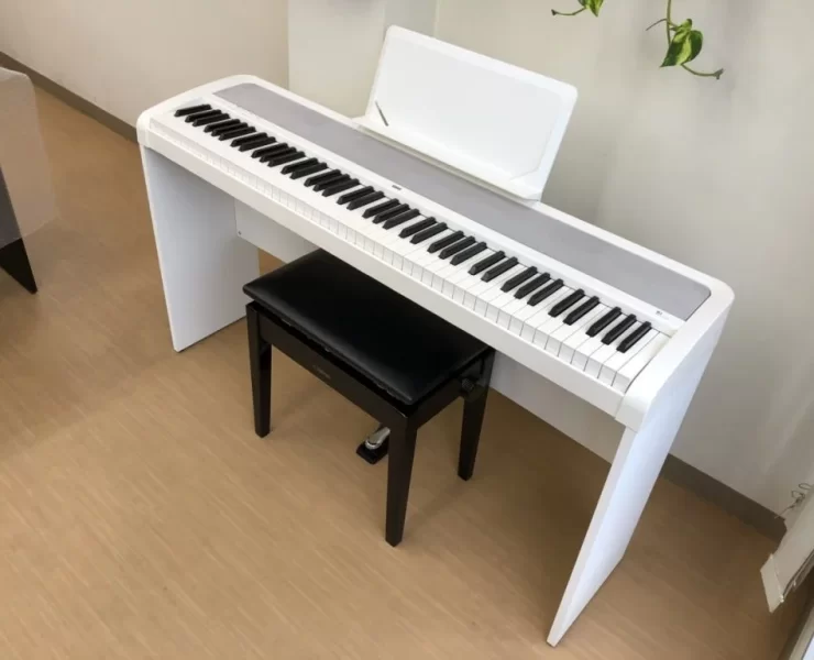 KORG B1