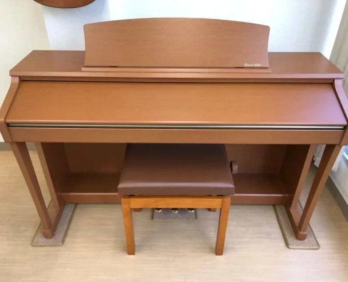 KAWAI CA13