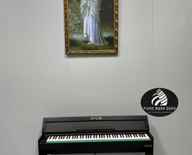 Piano điện ARIA HN-02BK