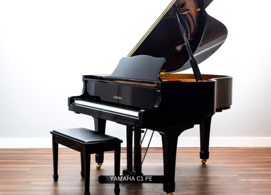 Kinh Nghiệm Mua Đàn Piano Điện: Tất Cả Những Gì Bạn Cần Biết